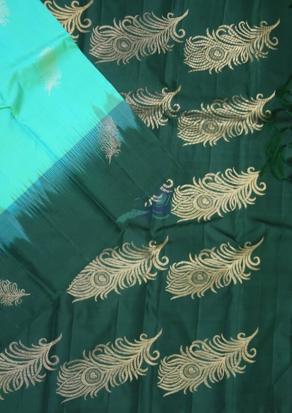 silk saree in Salem