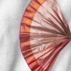 silk saree in Salem